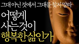 석가모니 명언 | 인생조언 | 아무나 못 듣는 최고의 인생 조언 | 죽어도 못 깨닫는 것 | 최고로 잘사는법 | 내 삶이 마음에 들지 않는다면 |매일 듣는 부처님말씀|불교|ASMR