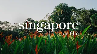 Film Photography in Singapore + Making My First Zine