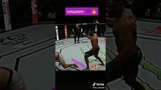 UFC: Хищник