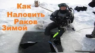 Как наловить раков зимой и посмотреть где Раки зимуют    YouTube