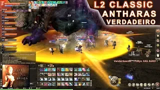 Lineage 2 Classic NA - Antharas Real é Extremamente FORTE !!! Quase Impossível de Matar !!!