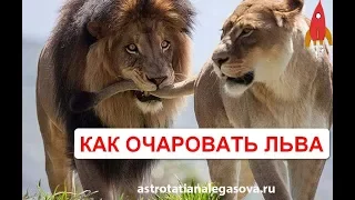 Как очаровать Льва