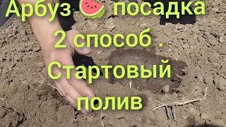 Посадка арбуза 5- того майя без с стартовым поливом