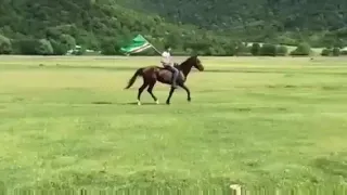 Pankisi Buyan// ბუიანი🏇