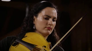 Vivaldi | Cello concerto in B minor RV 424 (Allegro) | Jesenka Balic Zunic Kore Orchestra