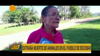 Extraña muerte de animales en Escobar