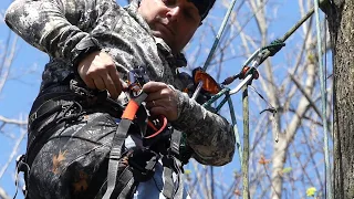 Mid line alpine butterfly canopy hitch. SRT climbing , transition to tether