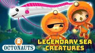 ​@Octonauts - ✨ Legendary Sea Creatures 🐋 | 90 Mins Compilation | Underwater Sea Education