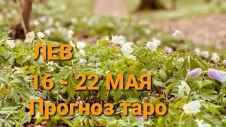 Лев ♌,  | 16 - 22 мая 2022 | прогноз таро на неделю💫🃏🍀