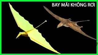 Cách gấp máy bay hình con khủng long bay mãi không rơi | How to make a paper Pterosaurs airplane.