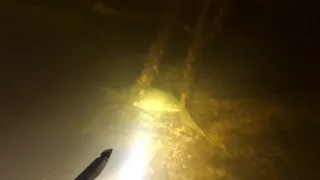 Подводная охота на Карпа. Underwater carp hunting.