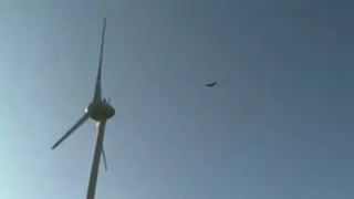 Bird vs Wind Turbine FAIL !