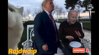 Biden sings and tramp dances cat vibes ( levan polkka) deepfake 😋