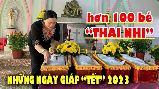 Hành trình Má Hương đưa hơn 100 “THAI NHI” đi chôn cất những ngày giáp Tết | Huỳnh Trung Vlog