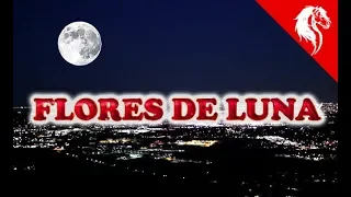 ★ FLORES DE LUNA ( Documental Completo )