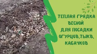 Теплая грядка весной для посадки огурцов,тыкв, кабачков