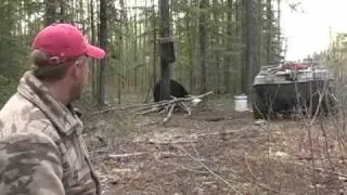 How To Field Judge a Black Bear - Hunting In Alberta Canada