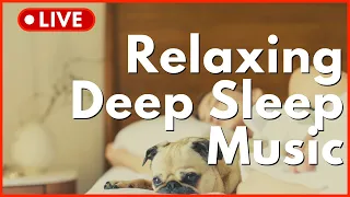 🔴 10 Hours of Deep Sleep 😴 Fall Asleep Fast, Mind and Body Rejuvenation ❤️ Black Screen