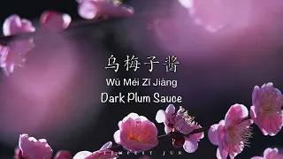 乌梅子酱 Dark Plum Sauce [李荣浩 Li RongHao] - Chinese, Pinyin & English Translation 歌词英文翻译