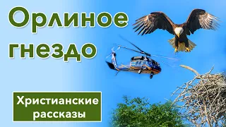 🟢 Орлиное гнездо - ИНТЕРЕСНЫЙ ХРИСТИАНСКИЙ РАССКАЗ | Христианские рассказы