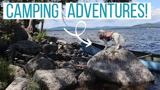 Maltipoo Goes Wilderness Camping! | Hiking, Canoeing, Swimming & Exploring with Rosco the Pup