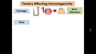 Antigen (in English)