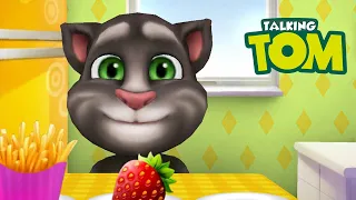 Nama Kucing Ini Adalah Tom Dan Dia Banyak Omong