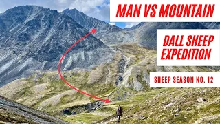 DALL SHEEP HUNT | The Reality of the Extreme Mountain Weather | Dall Sheep Season No. 12
