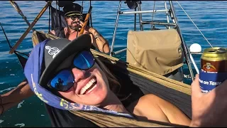 Chillin' with 10,000 penguins, seals and dolphins!! Sailing Vessel Delos Ep. 146