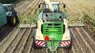 Mais Silage | Best of Krone Big X 1180 chopping corn | Most Powerfull Forage Harvester in the World