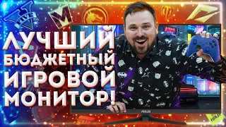 ЛУЧШИЙ БЮДЖЕТНЫЙ ИГРОВОЙ МОНИТОР! Обзор Asus TUF Gaming VG249Q1A