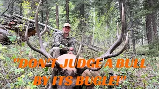 DON'T JUDGE A BULL BY IT'S BUGLE!! | ZACH'S 2022 LE UTAH ELK HUNT