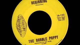 Bubble Puppy - Beginning