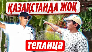 Жаңа технолонгия! Ештеңе өспейтін жерден Банан, қызанақ т.б. өнімдер шығарып жатыр!