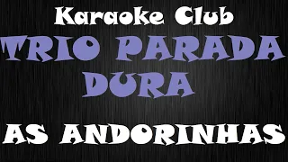 TRIO PARADA DURA - AS ANDORINHAS ( KARAOKE )