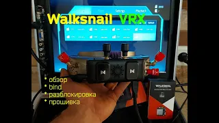 Walksnail VRX и Avatar HD Mini 1S KIT
