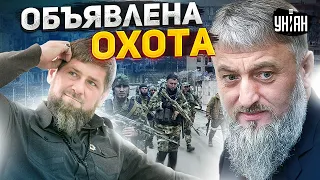 В Чечне началась охота? Обреченные Кадыров и Делимханов прячутся