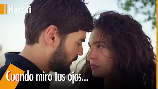 Miran gritó su amor a Reyyan - Hercai @hercaiespanol