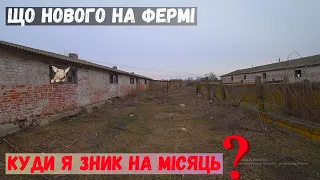 Відновлення свинокомплексу❗  Які плани на цей місяць❓