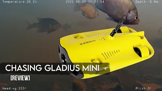 Gladius Mini S Review: Underwater ROV for Pros and Hobbyists