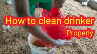 Proper cleaning of auto drinker for best result