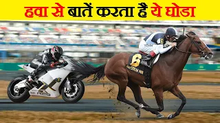 दुनिया में सबसे तेज़ दौड़ने वाले घोड़े | Fastest Horse Breeds in the World