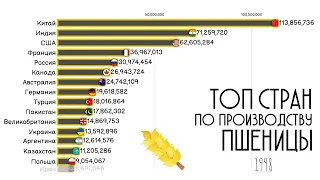 Урожай Пшеницы.Топ стран мира по производству пшеницы.Статистика.Инфографика.Сравнение стран.Рейтинг