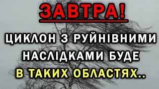 ПОГОДА НА ЗАВТРА : ПОГОДА НА 12 СІЧНЯ