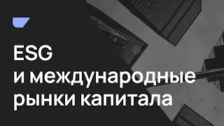 BRIF'21 ESG и международные рынки капитала: риски и возможности привлечения финансирования