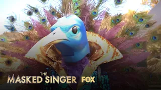 The Clues: Peacock | Season 1 Ep. 1 | THE MASKED SINGER