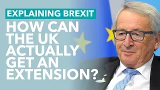 Can the UK Get Another Extension? - Brexit Explained