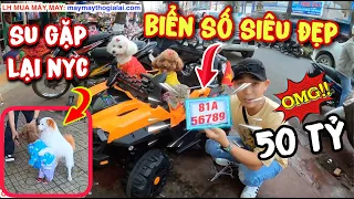 PHẦN 2: SU XÍ XỌN GẮN BIỂN SỐ SIÊU XE 50 TỶ và ĐI ĐỘ XE GẶP LẠI NGƯỜI YÊU CŨ | CHÚ CHÓ ĐI HAI CHÂN