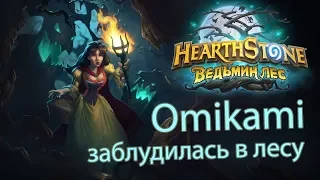 Паладин на поле боя (✿◠‿◠) Hearthstone