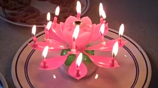 Musical Birthday Candle